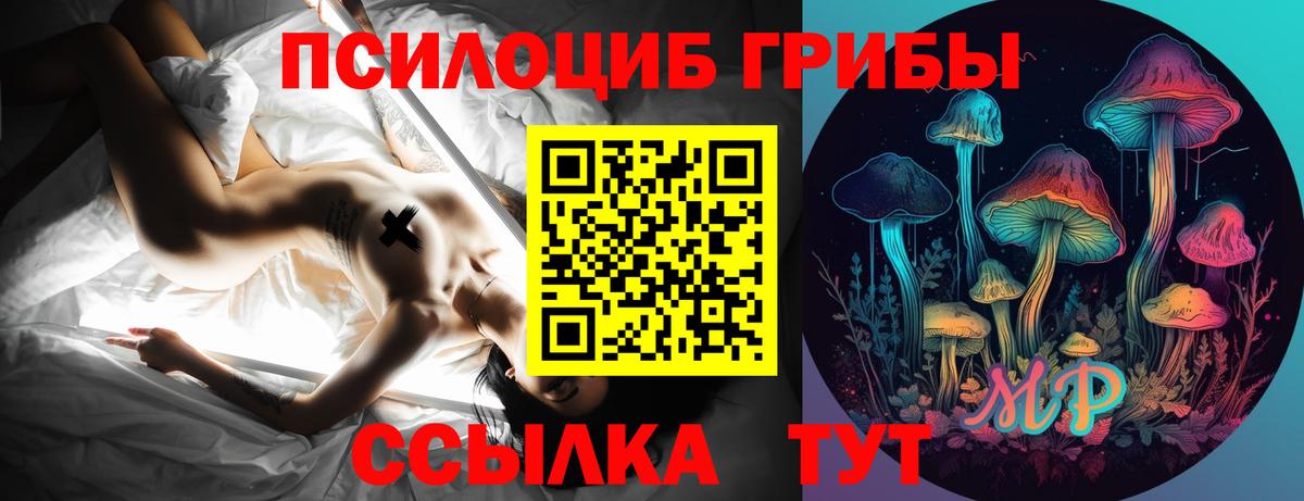 Галлюциногенные грибы ЛСД Хасавюрт